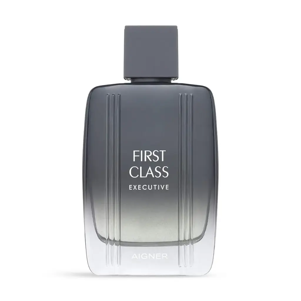 Aigner First Class Executive Edt(M)100ml